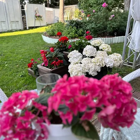 Paivilla Boutique Bed and Breakfast 3*