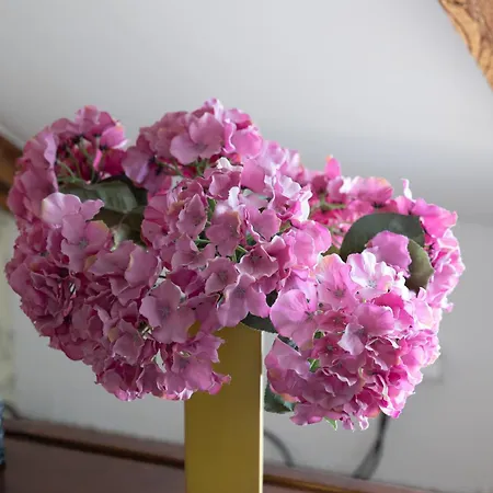 krevet i doručak Paivilla Boutique *