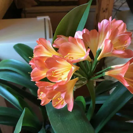 Paivilla Boutique Couette-café 3*