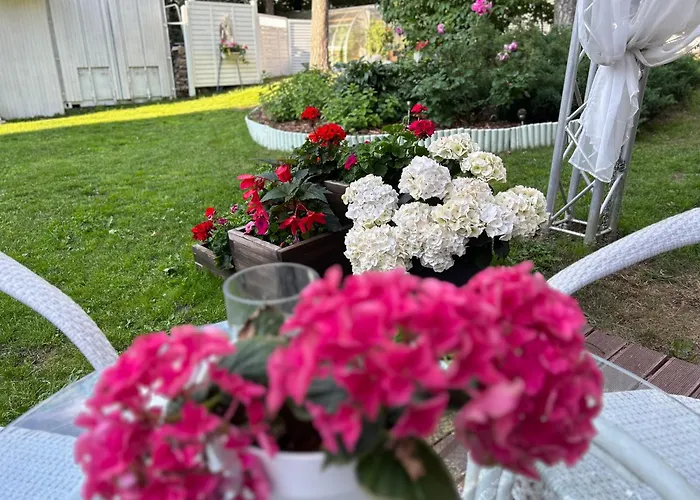 Paivilla Boutique Nocleg ze śniadaniem 3*