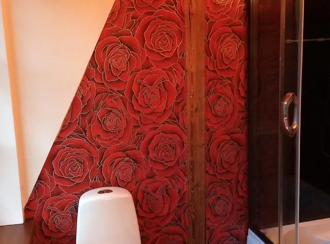 Nocleg ze śniadaniem Paivilla Boutique 3*