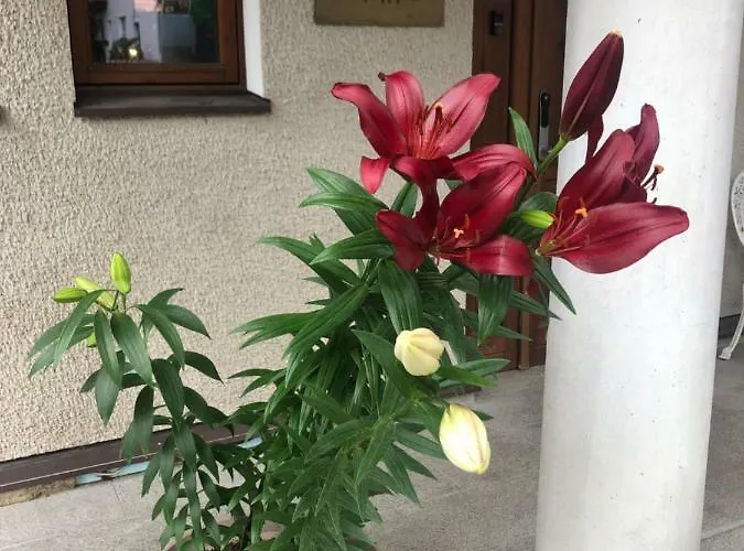 Paivilla Boutique Tallin