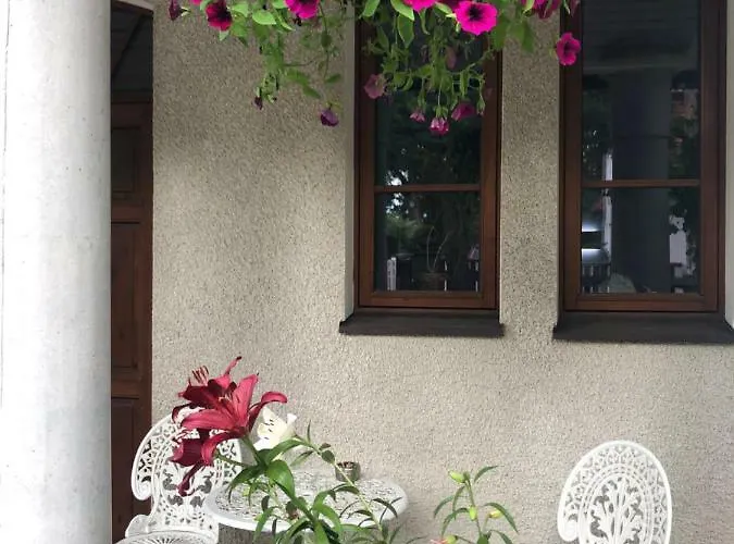 Paivilla Boutique Tallin