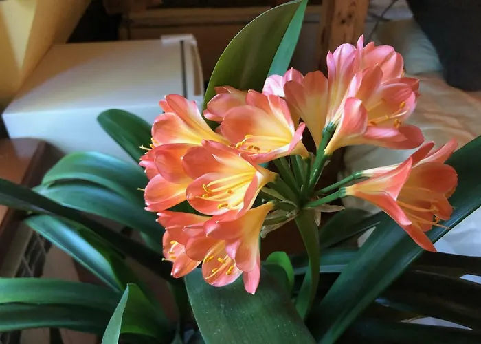 Paivilla Boutique Bed & Breakfast 3*