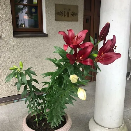 Paivilla Boutique Reval